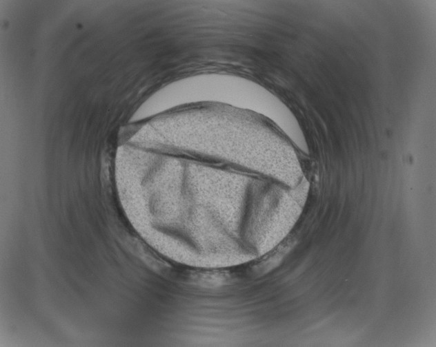 X0000084030282200703161813