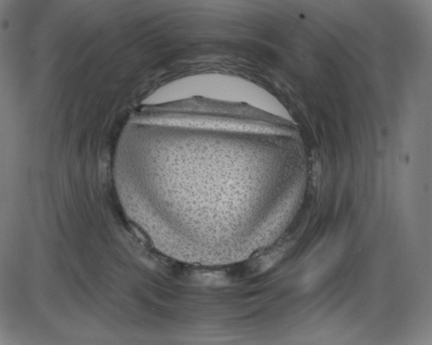 X0000084030283200703161813