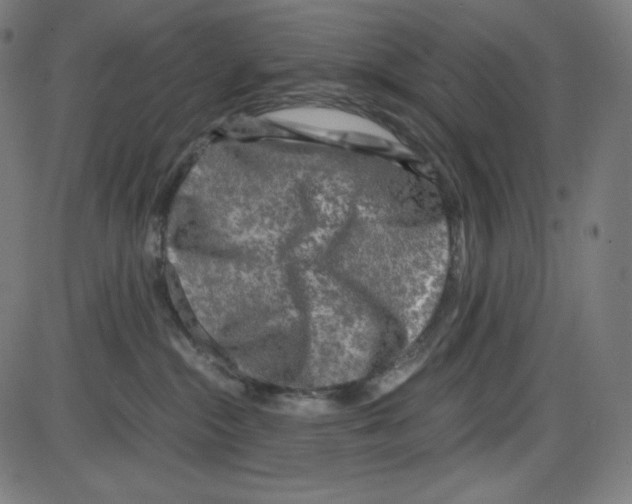 X0000084030284200703161813