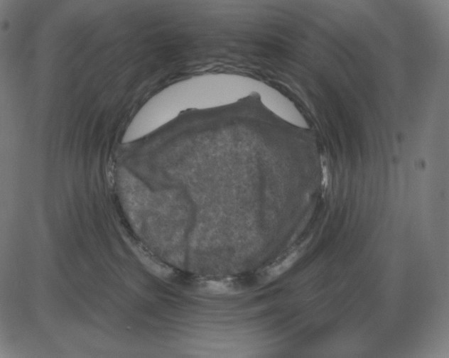 X0000084030285200703161813