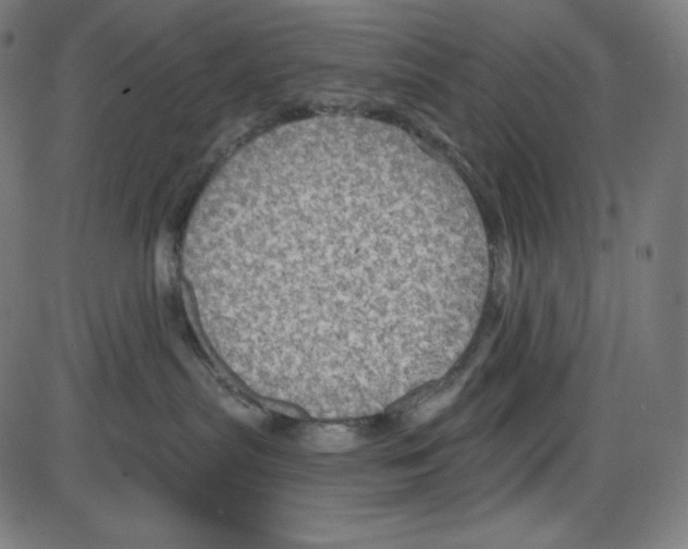 X0000084030287200703161813