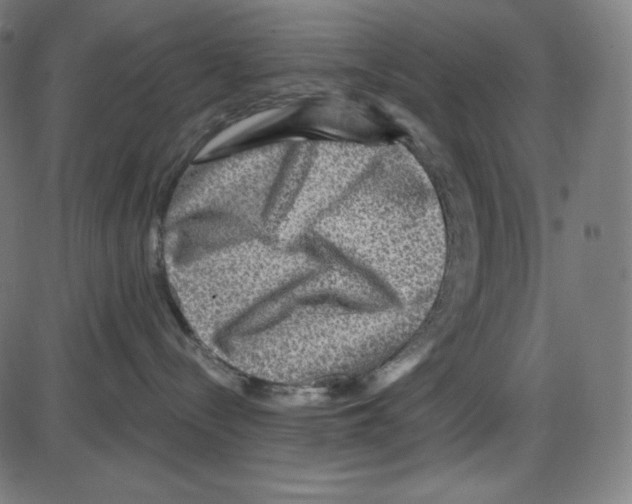 X0000084030288200703161814