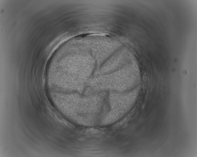 X0000084030290200703161813