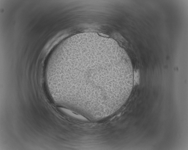 X0000084030291200703161813