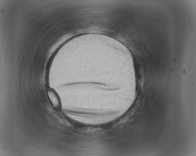 X0000084030292200703161813