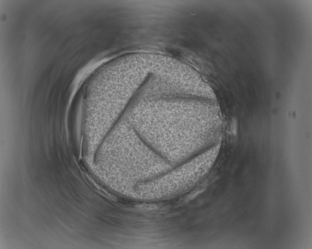 X0000084030294200703161813