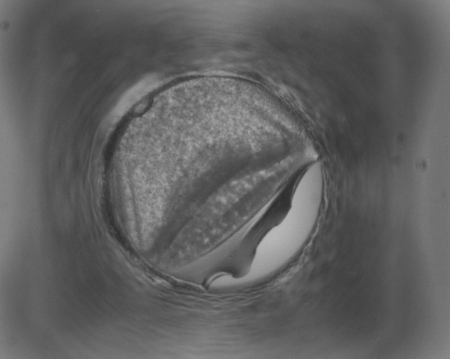 X0000084030295200703161813