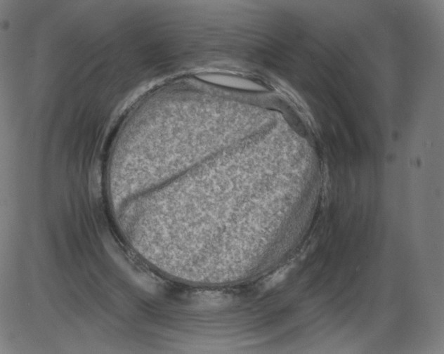 X0000084030298200703161813