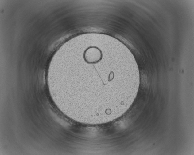 X0000084030302200703161812