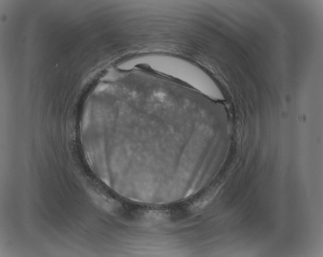 X0000084030303200703161812