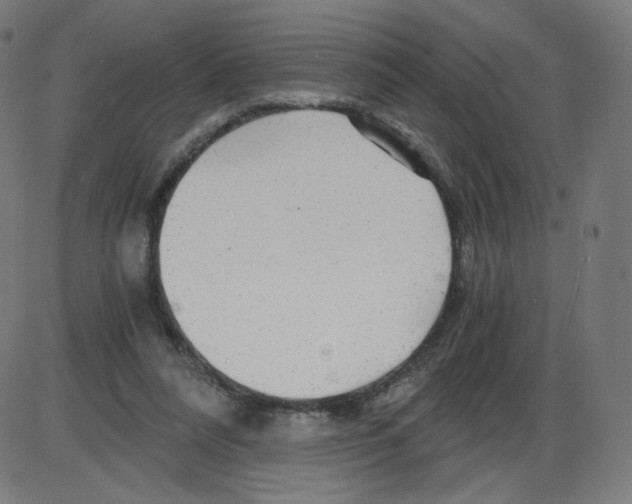 X0000084030304200703161812