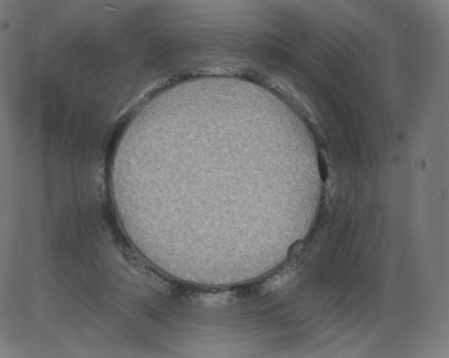 X0000084030306200703161812