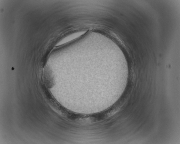 X0000084030307200703161812