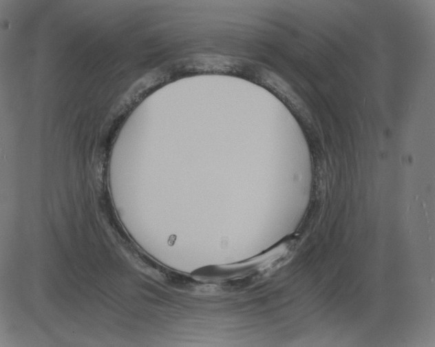 X0000084030309200703161812