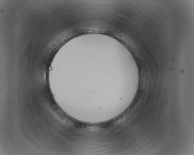 X0000084030310200703161812