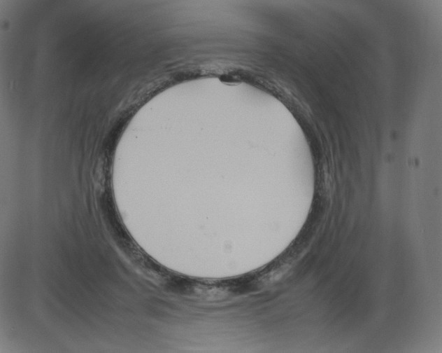 X0000084030311200703161812