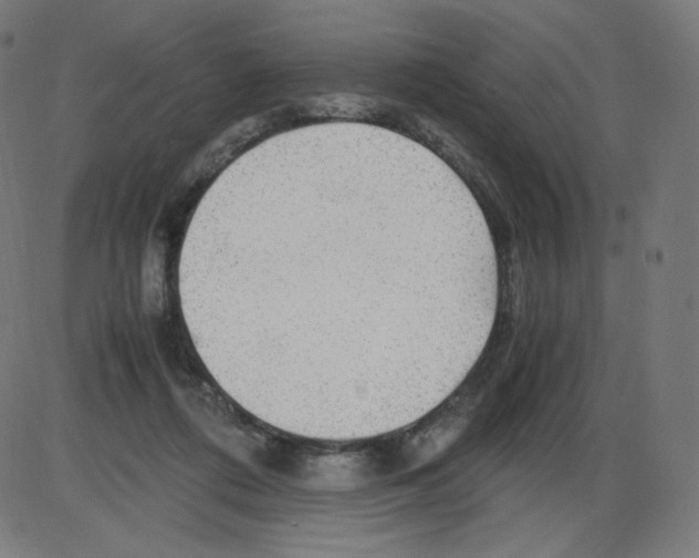 X0000084030312200703161812