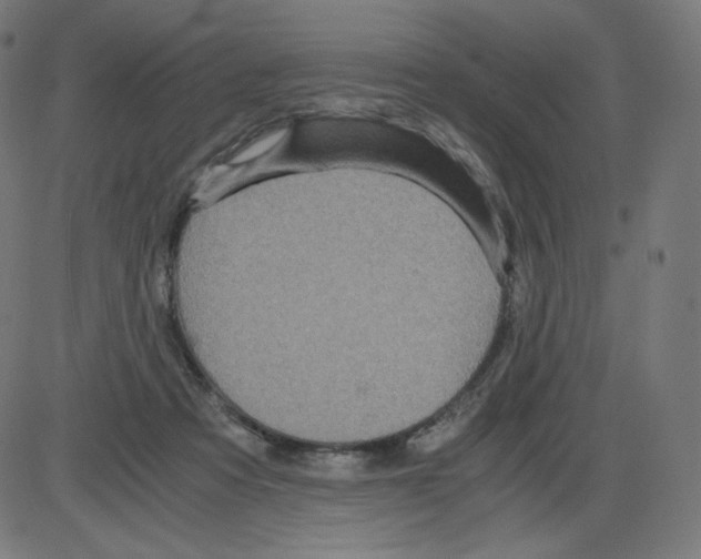 X0000084030313200703161812