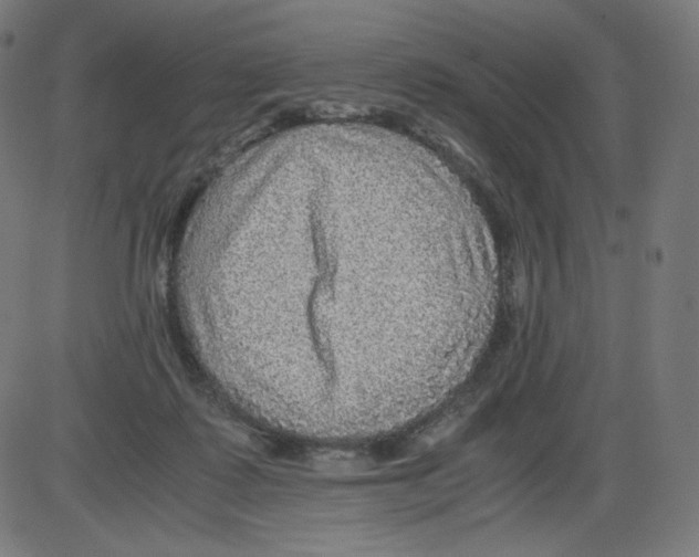 X0000084030315200703161812