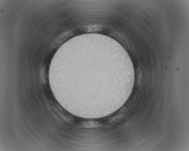 X0000084030316200703161812