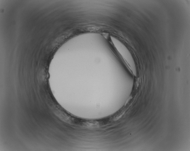 X0000084030317200703161812