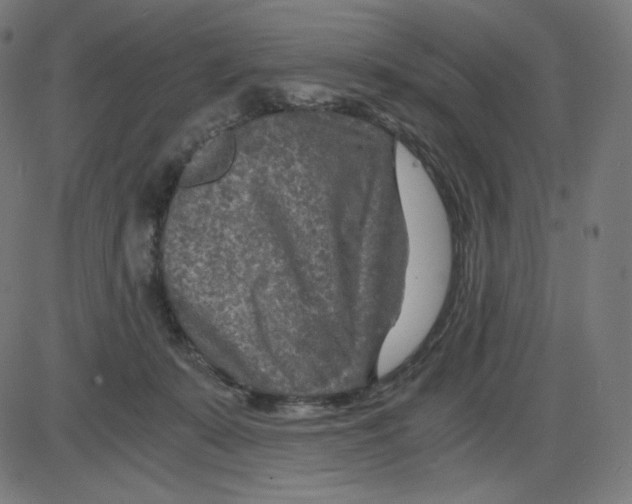 X0000084030319200703161812