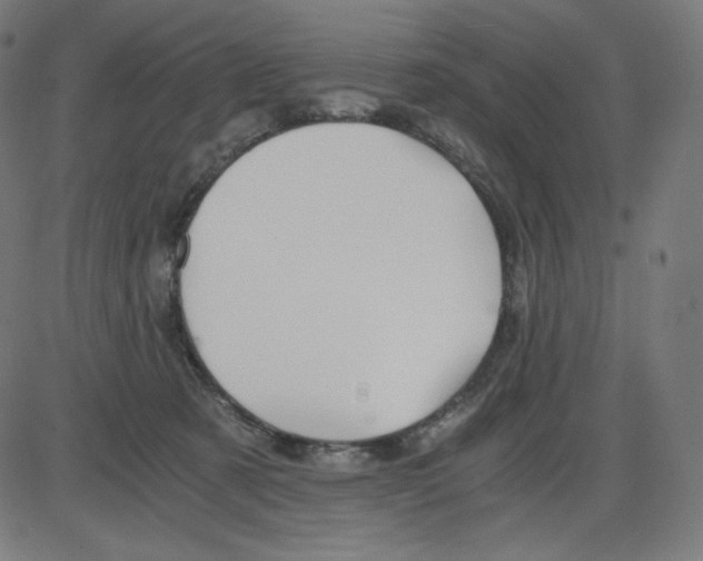 X0000084030321200703161812