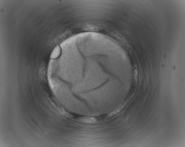 X0000084030322200703161812