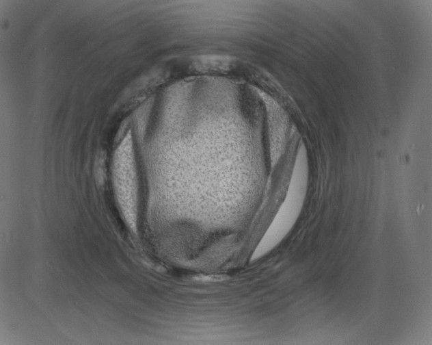 X0000084030323200703161812