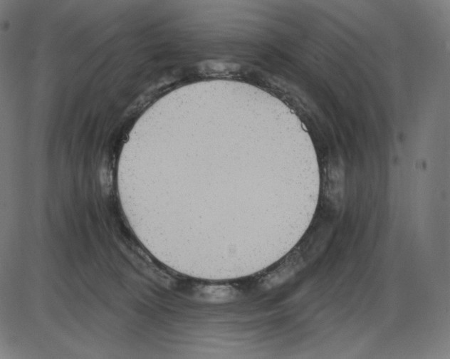 X0000084030324200703161812