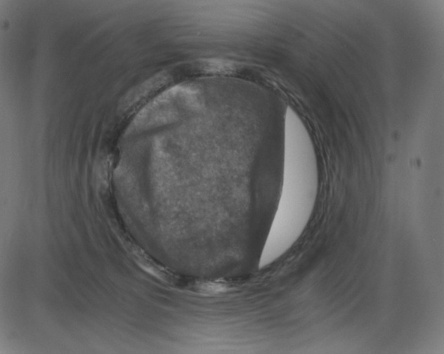 X0000084030325200703161812