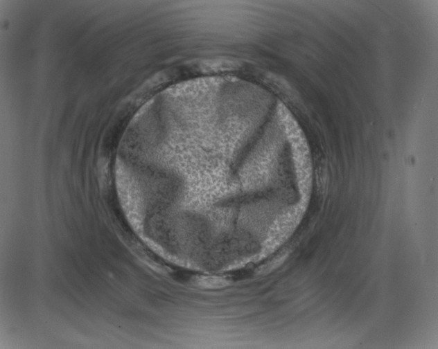 X0000084030327200703161812