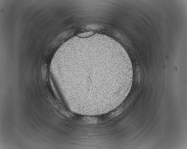 X0000084030328200703161812