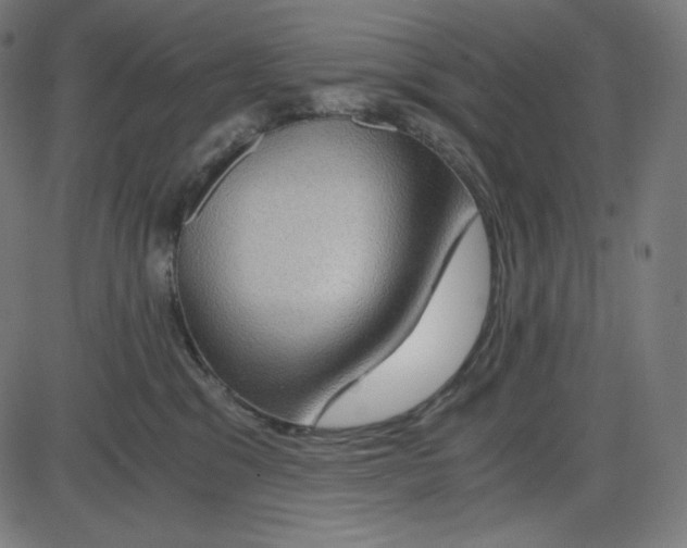 X0000084030329200703161812