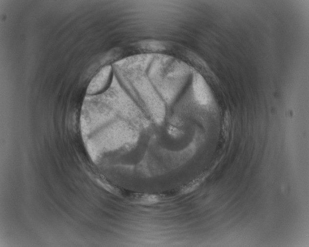 X0000084030330200703161812