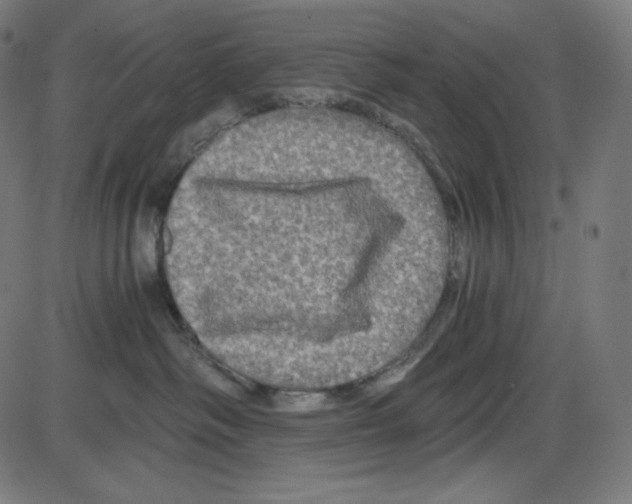 X0000084030334200703161812