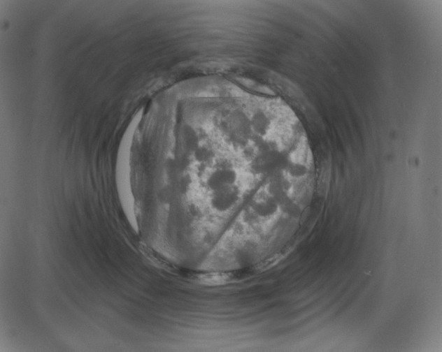 X0000084030335200703161812