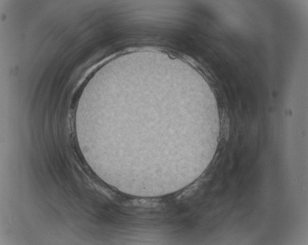 X0000084030338200703161811