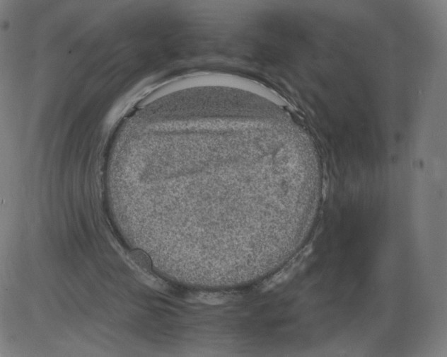 X0000084030341200703161811