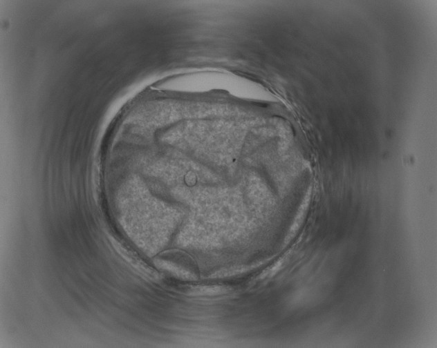 X0000084030342200703161811