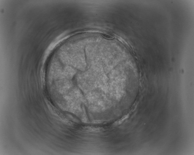 X0000084030343200703161811