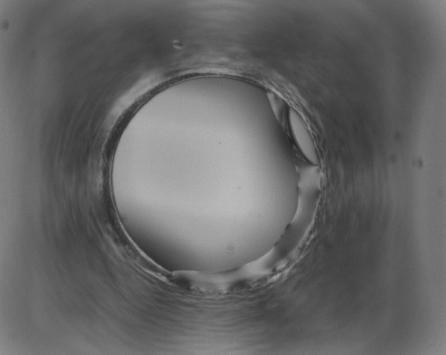 X0000084030344200703161811