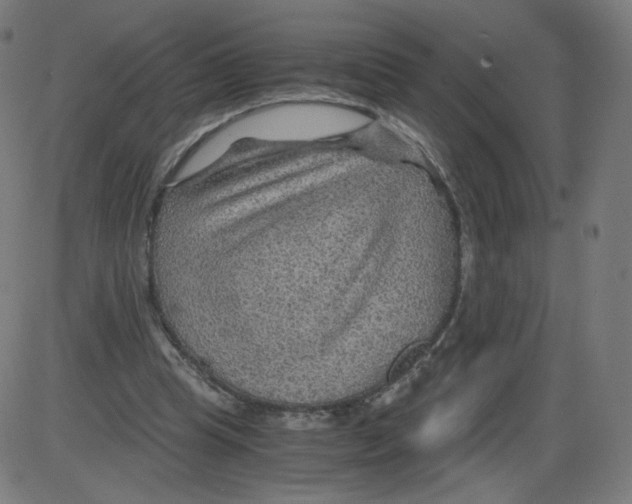 X0000084030345200703161811