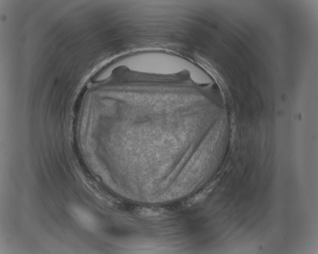 X0000084030346200703161811