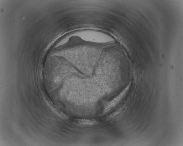 X0000084030347200703161811