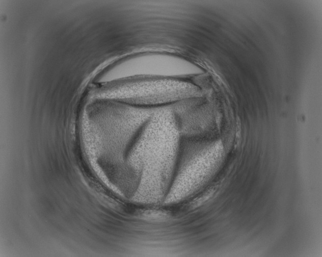 X0000084030348200703161811