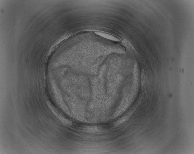 X0000084030349200703161811