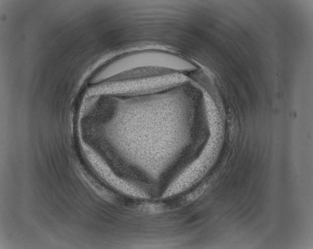 X0000084030350200703161811