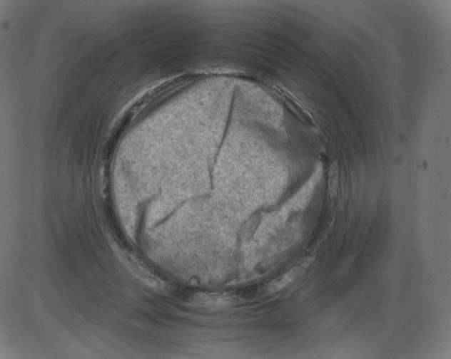 X0000084030351200703161811