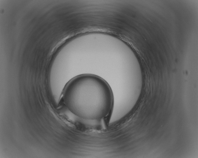 X0000084030352200703161811